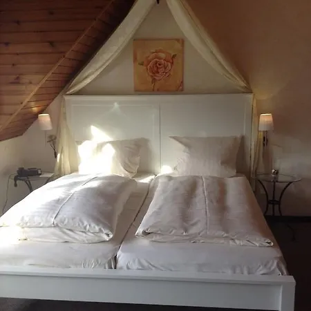 Pensjonat Pirsch-muhle